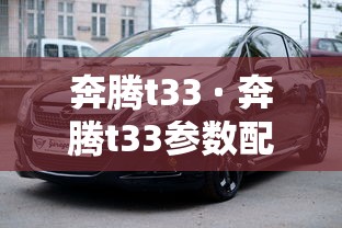 奔腾t33 · 奔腾t33参数配置