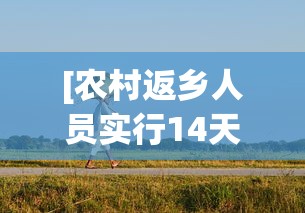 [农村返乡人员实行14天居家健康监测 > 农村返乡人员需14天居家监测]