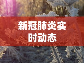 新冠肺炎实时动态