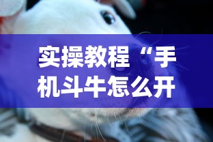 实操教程“手机斗牛怎么开挂免费下载	”(太坑了果然有挂)
