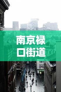 南京禄口街道解封居民放烟花庆祝 · 南京市禄口街道解封 南京禄口街道解封居民放烟花庆祝 · 南京市禄口街道解封