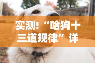 实测!“哈狗十三道规律	”详细分享装挂