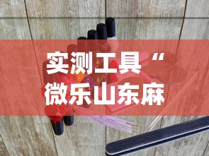 实测工具“微乐山东麻将游戏攻略秘籍”(透视曝光猫腻)