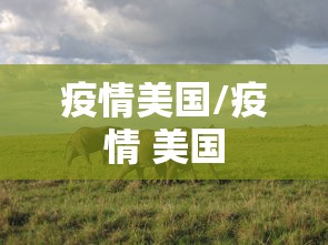 疫情美国/疫情 美国