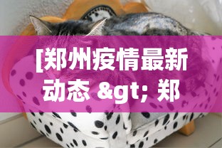[郑州疫情最新动态 > 郑州疫情最新动态数据]