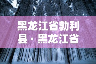 黑龙江省勃利县 · 黑龙江省勃利县运动会开幕式