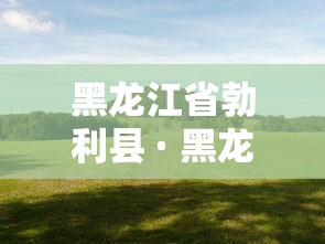 黑龙江省勃利县 · 黑龙江省勃利县运动会开幕式
