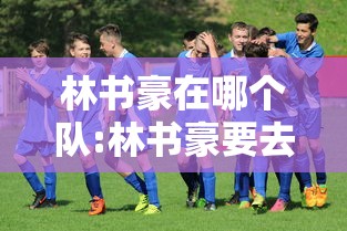 林书豪在哪个队:林书豪要去哪一队 林书豪在哪个队:林书豪要去哪一队