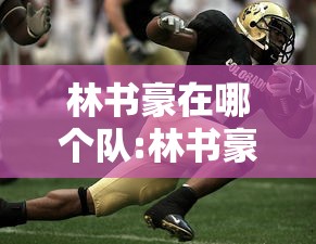 林书豪在哪个队:林书豪要去哪一队