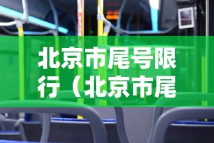 北京市尾号限行（北京市尾号限行怎么处罚）