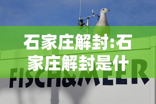 石家庄解封:石家庄解封是什么意思
