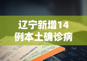 辽宁新增14例本土确诊病例
