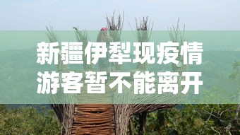 新疆伊犁现疫情游客暂不能离开 · 新疆伊犁疫情管控措施最新规定