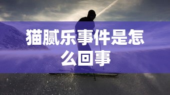 猫腻乐事件是怎么回事