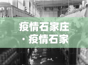 疫情石家庄 · 疫情石家庄放开时间