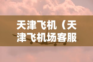 天津飞机(天津飞机场客服电话多少) 天津飞机(天津飞机场客服电话多少)