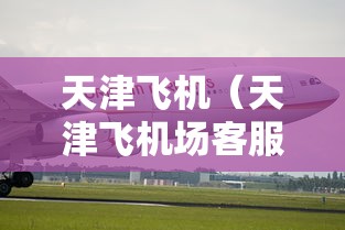 天津飞机（天津飞机场客服电话多少）