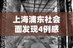 上海浦东社会面发现4例感染者:浦东疑似