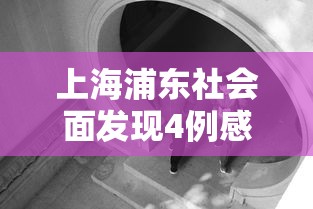 上海浦东社会面发现4例感染者:浦东疑似