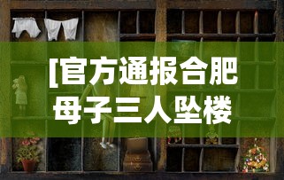 [官方通报合肥母子三人坠楼身亡 > 合肥母子三人坠亡事件后续]