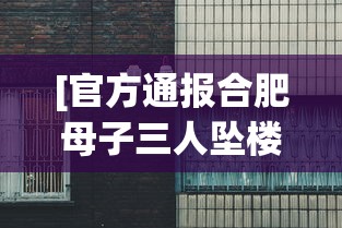 [官方通报合肥母子三人坠楼身亡 > 合肥母子三人坠亡事件后续]
