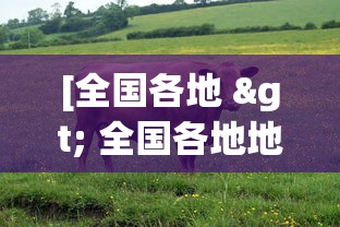 [全国各地 > 全国各地地图]