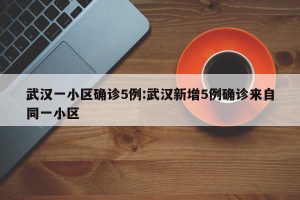 武汉一小区确诊5例:武汉新增5例确诊来自同一小区
