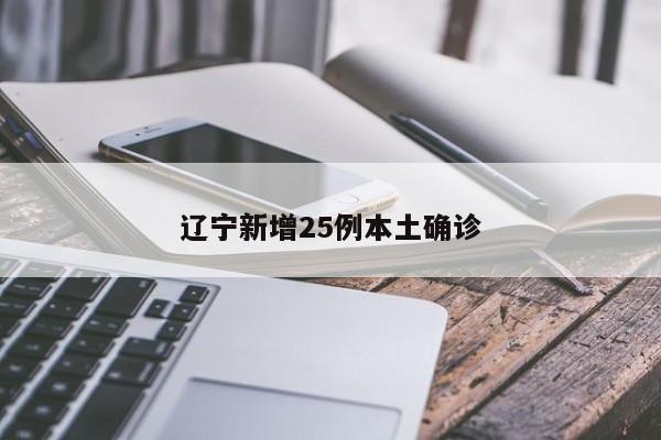 辽宁新增25例本土确诊