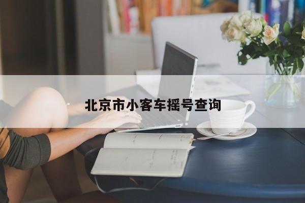 北京市小客车摇号查询